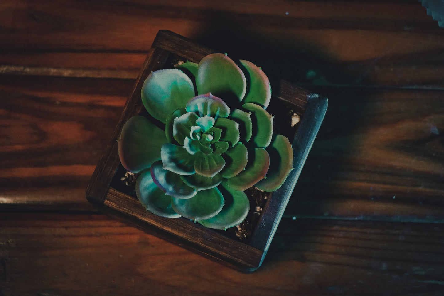 Cycle of Life Planter Box