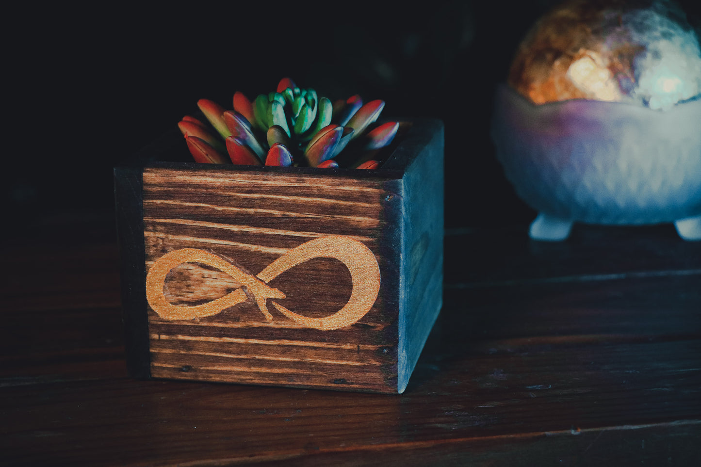 Cycle of Life Planter Box